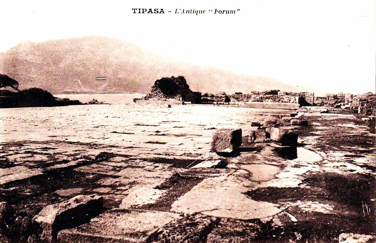 Tipasa - Ruines romaines 25.jpg